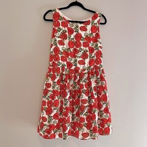 Sunday in Brooklyn Anthropologie Floral Red Roses Dress Size Medium